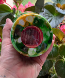 Turtle Stainless Steel Tumbler